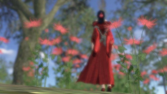 為什么女游泳運(yùn)動(dòng)員看起來大部分都是平胸？